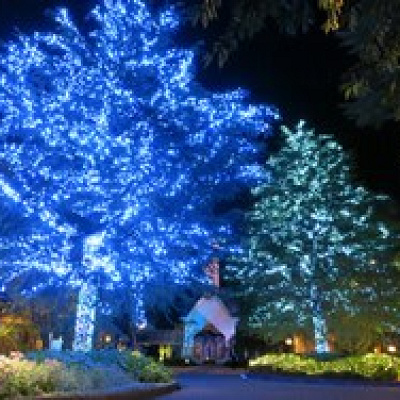 なばなの里　「ツインツリー」