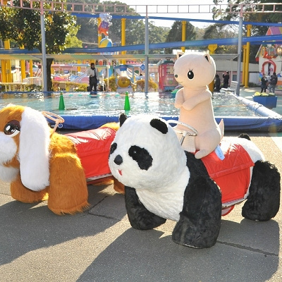 パンダカーのもり