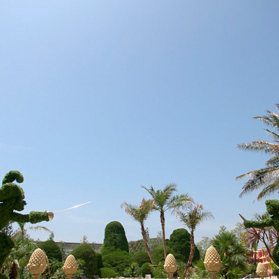 ピーターパンとフック船長のトピアリー