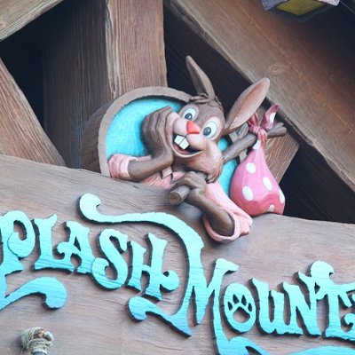 アメリカのスプラッシュ・マウンテンでも写真撮影は人気！