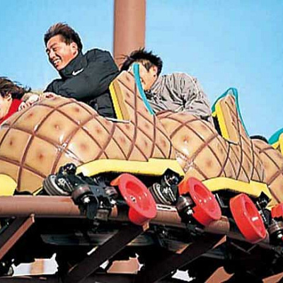 パインスターミニコースター