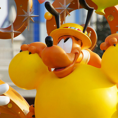 明るい毛色が特徴的なプルート