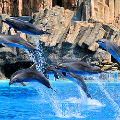 名古屋港水族館