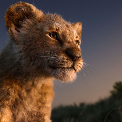 前作『実写版ライオンキング』