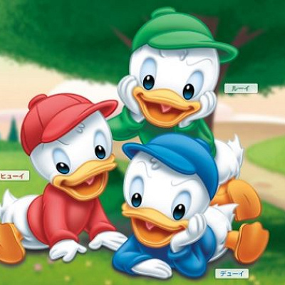 ヒューイ・デューイ・ルーイのプロフィール