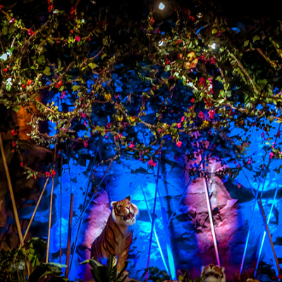 レインフォレストカフェ