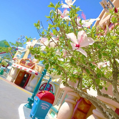 午前中のおすすめのルート