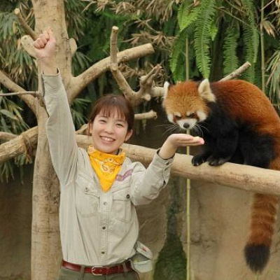 レッサーパンダ