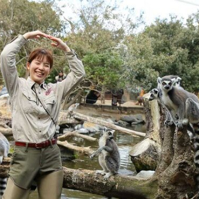 ワオキツネザル