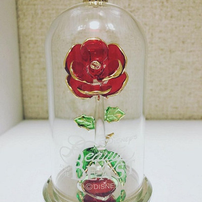 バラのガラスドーム