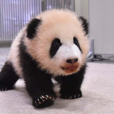 彩浜（さいひん）