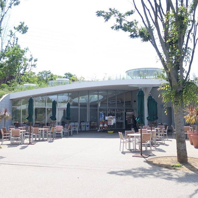 アフリカの味が楽しめるサバンナテラス