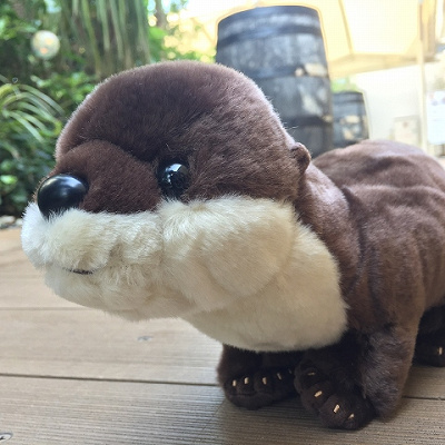 コツメカワウソぬいぐるみ（サンシャイン水族館オリジナル）