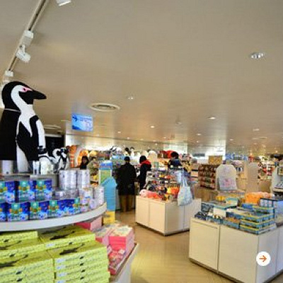 サンシャイン水族館のお土産ショップ