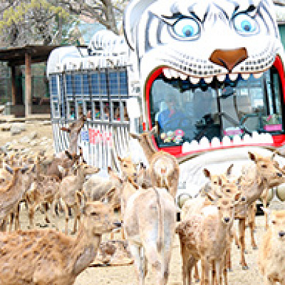 ライオンバスの様子