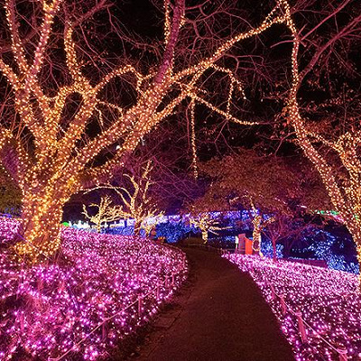 さがみ湖イルミリオンの様子