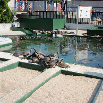 須磨海浜水族園