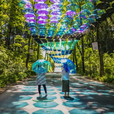 ムーミンバレーパークの木漏れ日トンネル