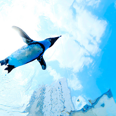 サンシャイン水族館のお土産ネット通販