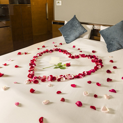 サプライズ・プロポーズ大作戦プラン