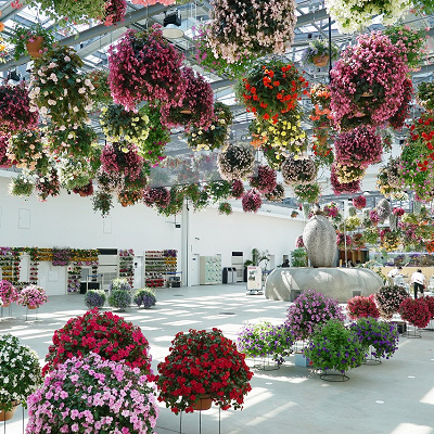 フラワーシャンデリアで飾られた温室の内部