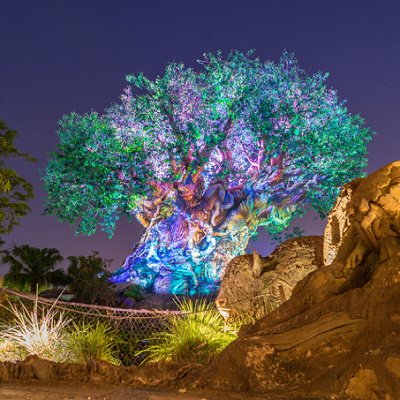 夜のツリーオブライフも神秘的