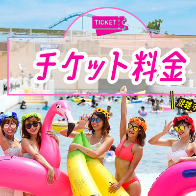 チケット料金