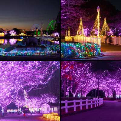 桜イルミネーション／東武動物公園イルミネーション2022