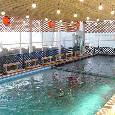 としまえんのスーパーフィッシング豊島園