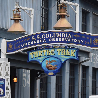 幅広い世代に大人気のタートル・トーク