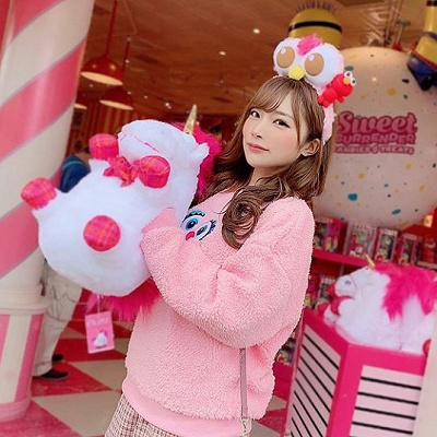 ユニバはセサミストリートのトレーナーが充実