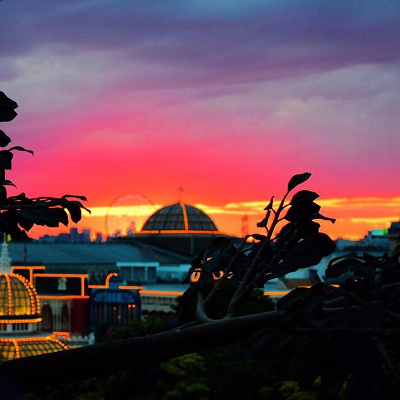 頂上から見える景色