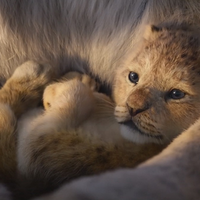 実写のような映像美