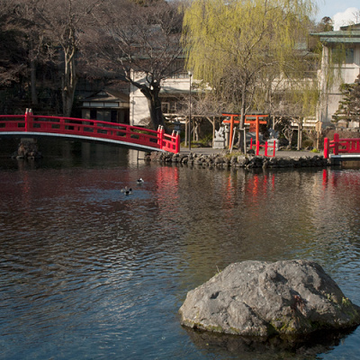 境内にある湧玉池も著名な天然記念物です！