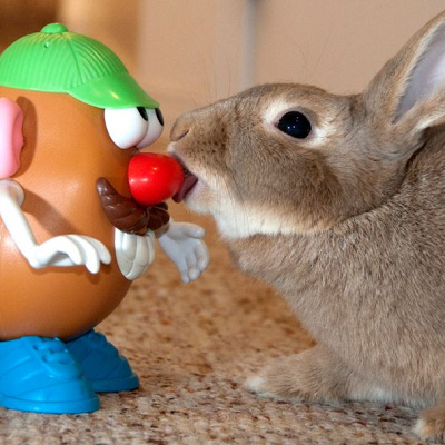 もともとアメリカのシリアルのおまけだった？！