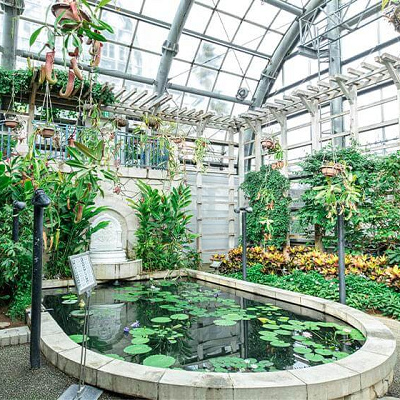 スイレンのへや