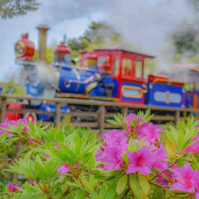 ウエスタンリバー鉄道の車両
