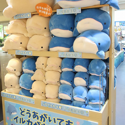 どうあがいてもイルカがもらえる!!