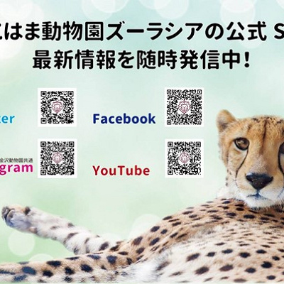 ズーラシアのSNS