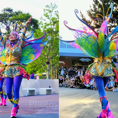 蝶モチーフ衣装を着たダンサー