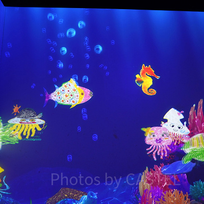 世界とつながったお絵かき水族館