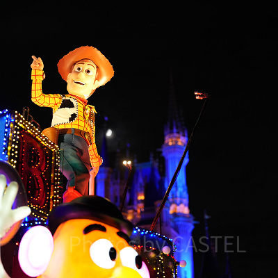 見られたらラッキーなパレードも？