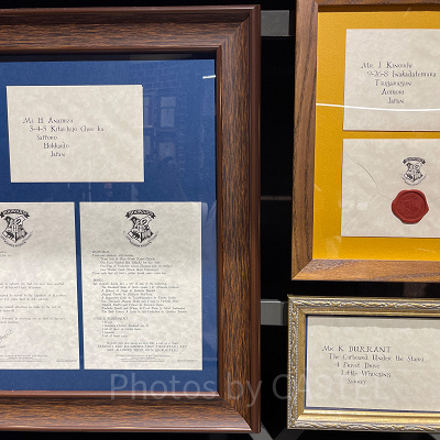 アクセプタンスレターセット