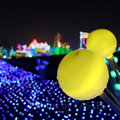 東京ドイツ村へのアクセス