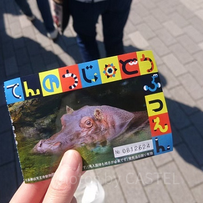 天王寺動物園の入園券