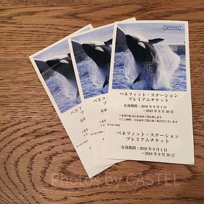 鴨川シーワールドの前売り入園券