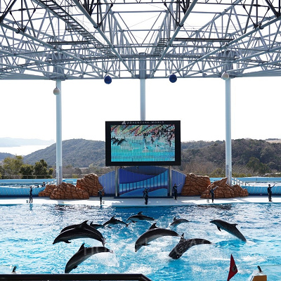 アドベンチャーワールドのイルカショー