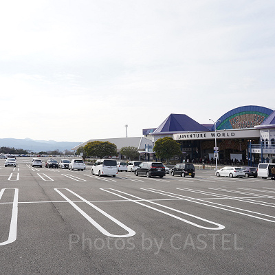 アドベンチャーワールドの駐車場
