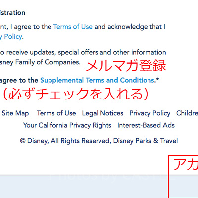 規約に同意をチェックしてアカウント作成！