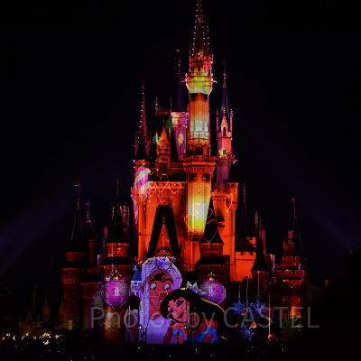 アラジンとジャスミン